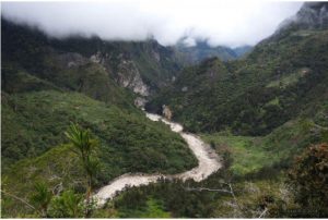 hutan Baliem Papua Barat