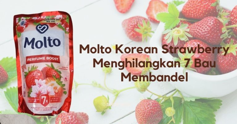 Atasi 7 Bau Membandel Dengan Pewangi Pakaian Molto Korean Strawberry