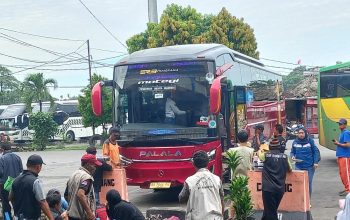 Review Naik Bus Palala Ke Bukit Tinggi, Sumatera Barat